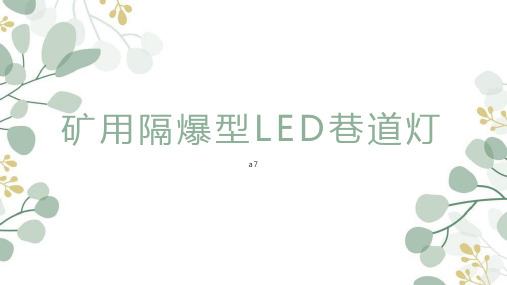 矿用隔爆型LED巷道灯