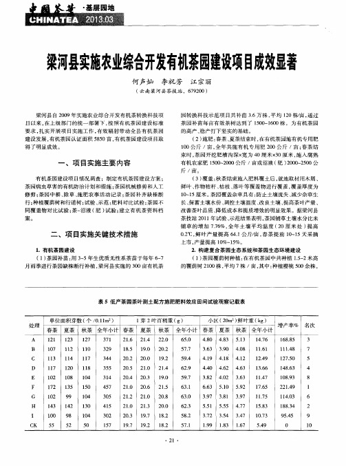 梁河县实施农业综合开发有机茶园建设项目成效显著