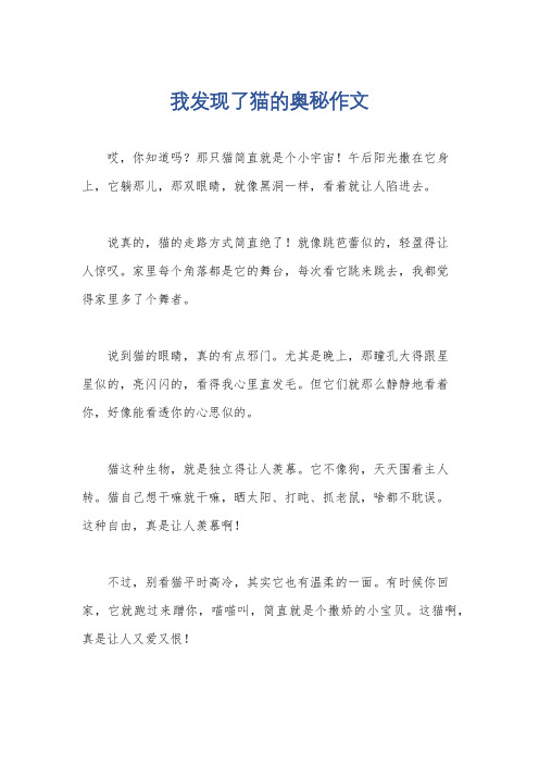 我发现了猫的奥秘作文