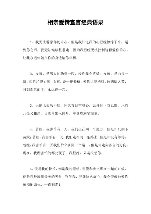 相亲爱情宣言经典语录