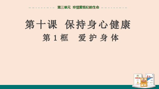 10.1《爱护身体》课件精品-统编版道德与法治七年级上册