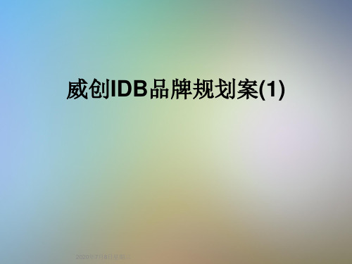 威创IDB品牌规划案(1)