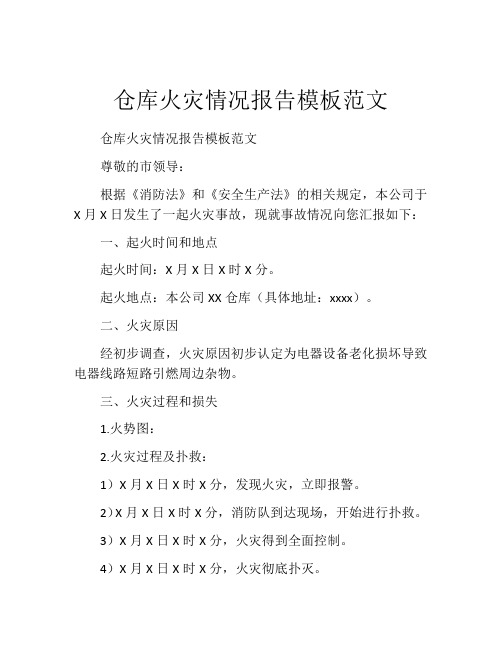 仓库火灾情况报告模板范文