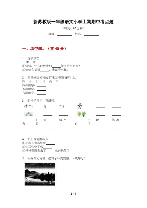 新苏教版一年级语文小学上期期中考点题