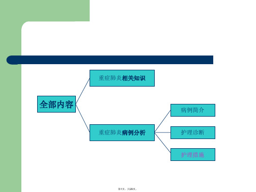 重症肺炎护理查房12(与“肺炎”相关文档共29张)