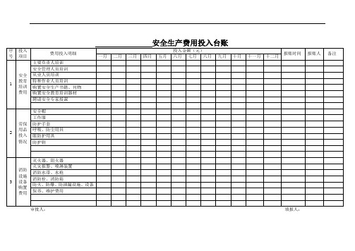 安全生产费用投入台账(模版)