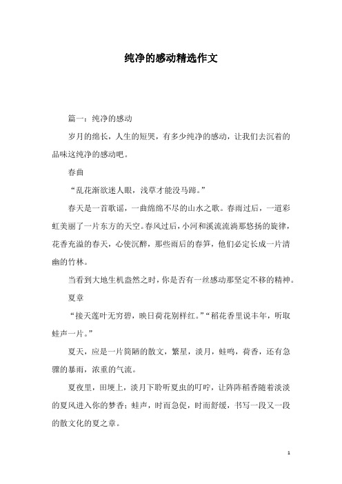 纯净的感动精选作文