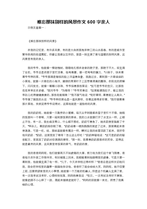 难忘那抹别样的风景作文600字亲人