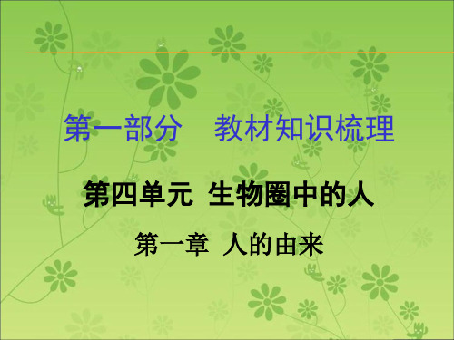 2016届中考面对面(人教版)生物复习课件 第一部分教材知识梳理 第四单元第一章 人的由来