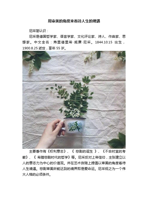 用审美的角度来看待人生的境遇