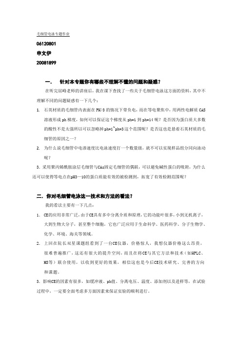 毛细管电泳专题作业