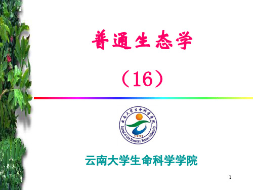 环境生态学培训讲义(PPT 45页)