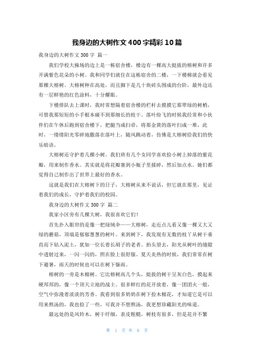 我身边的大树作文400字精彩10篇