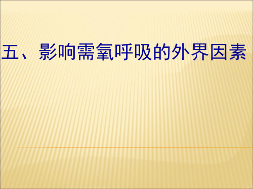 影响细胞呼吸的外界因素(完结)