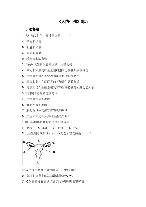 人教版七下生物《人的生殖》练习