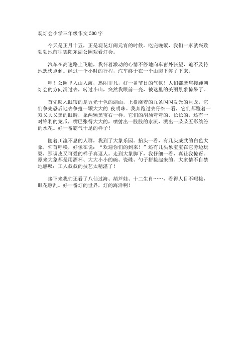 观灯会小学三年级作文500字