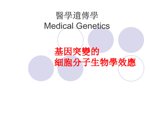 医学遗传学课件-基因突变的细胞分子生物学效应