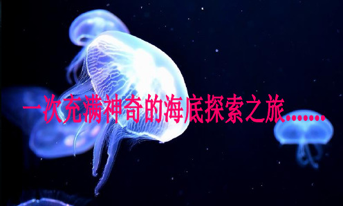 海洋生物展水母鲨鱼珊瑚租赁PPT课件