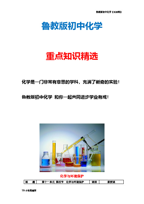 鲁教版初中化学五四制九年级全册《12.4 化学与环境保护》教案 (3)