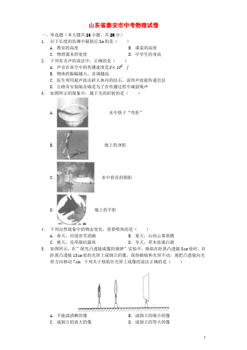 山东省泰安市中考物理真题试题(含解析)