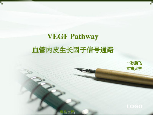 VEGF(血管内皮生长因子)信号通路  精美