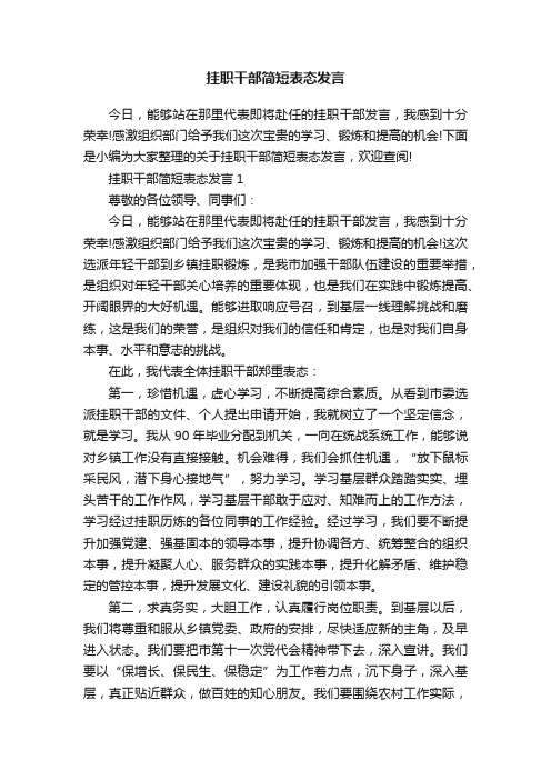 挂职干部简短表态发言