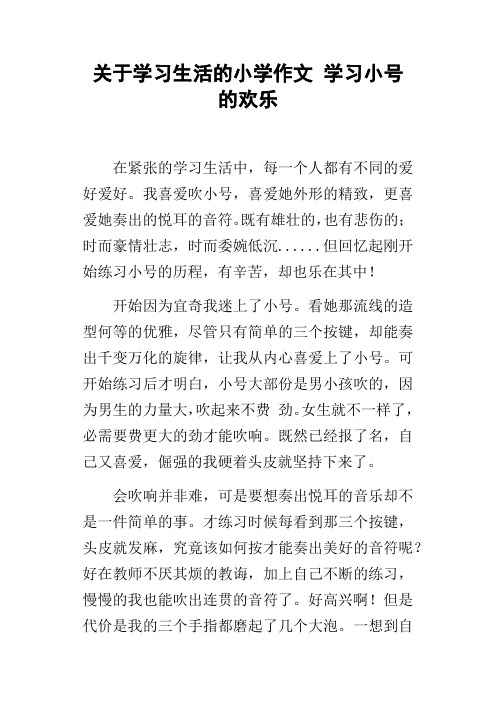 关于学习生活的小学作文学习小号的欢乐