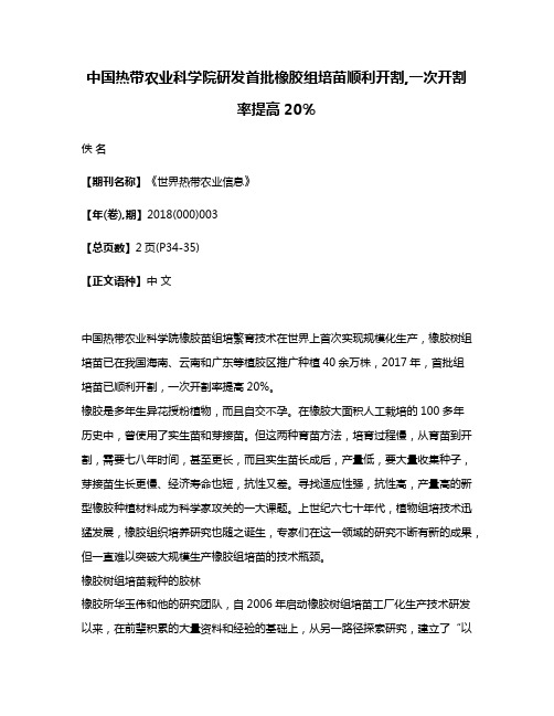 中国热带农业科学院研发首批橡胶组培苗顺利开割,一次开割率提高20％