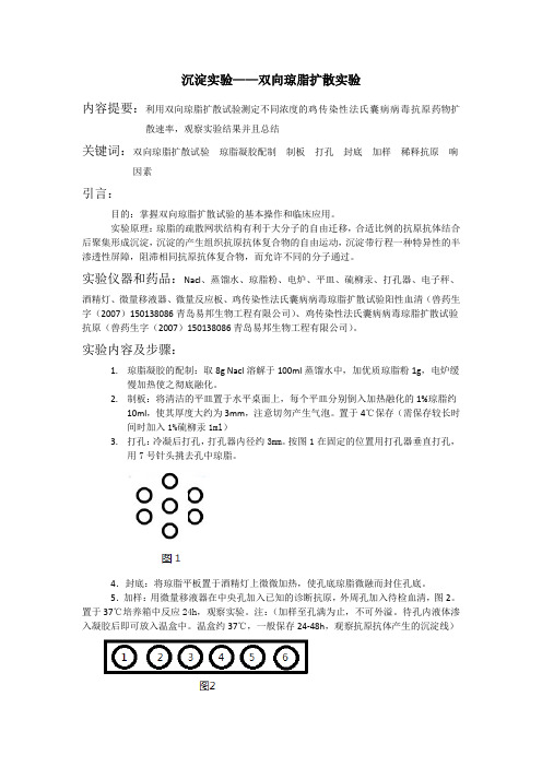 沉淀实验——双向琼脂扩散试验