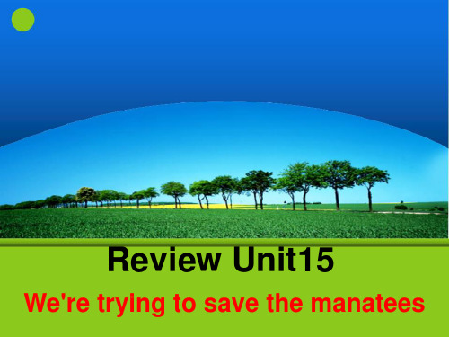 Review15We're tyying to save the manatees.