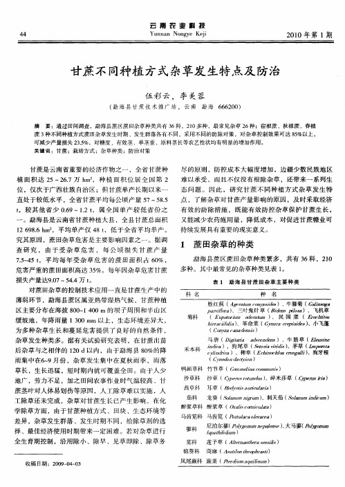 甘蔗不同种植方式杂草发生特点及防治