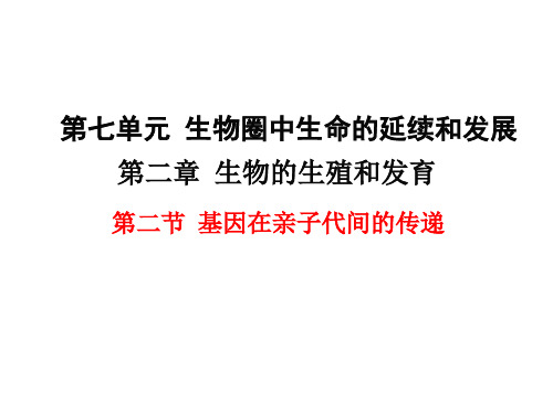 人教版初中八年级生物下册第七单元第二章-生物的遗传与变异第二节 基因在亲子代间的传递-经典PPT教学