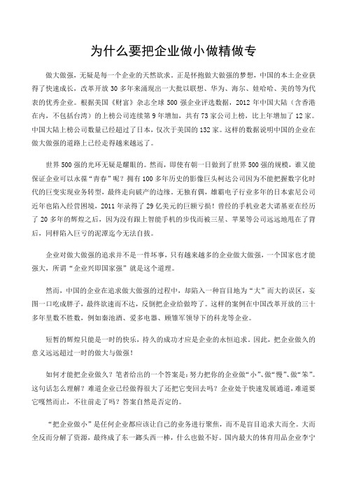 把企业做小做精做专