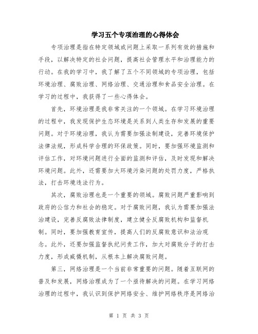 学习五个专项治理的心得体会