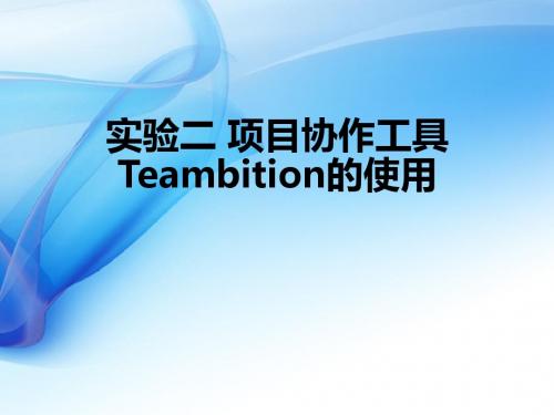 云计算 实验2 teambition的使用