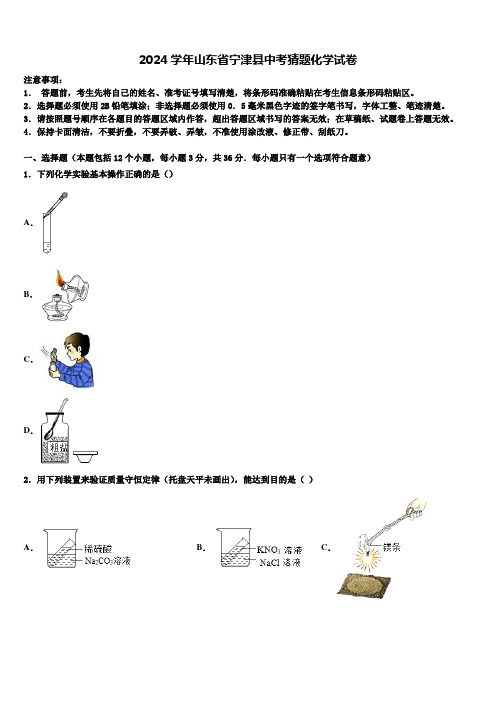 2024届山东省宁津县中考猜题化学试卷含解析