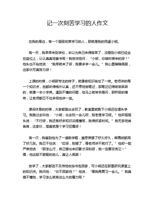 记一次刻苦学习的人作文