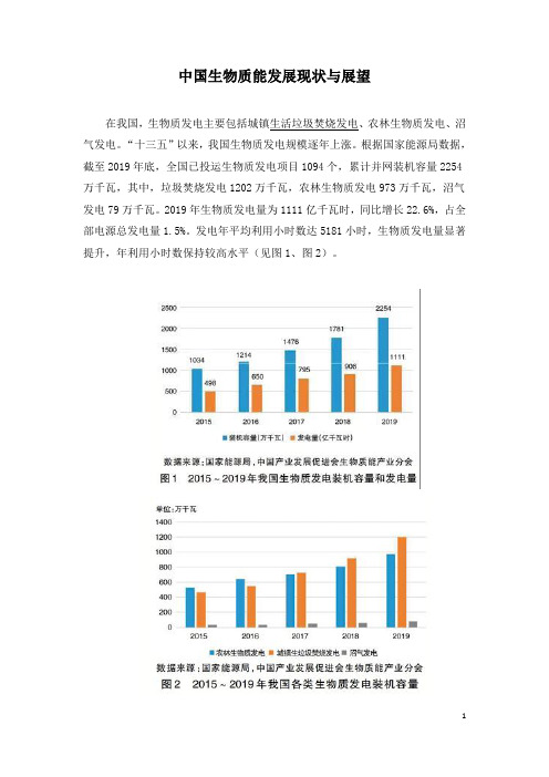 中国生物质能发展现状与展望