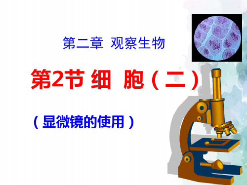 浙教版-科学-七年级上册-细胞 课件