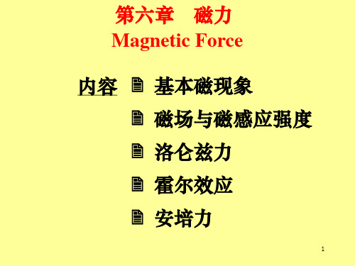 大学物理-磁力Magnetic Force