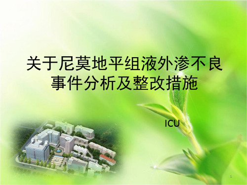 关于尼莫地平组液外渗不良事件分析及整改措施PPT参考课件