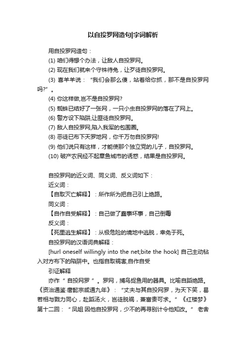 以自投罗网造句字词解析