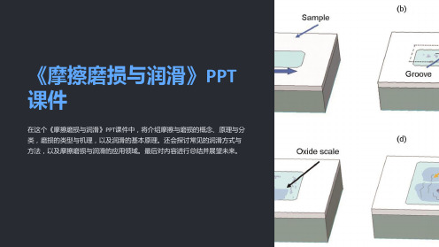 《摩擦磨损与润滑》课件