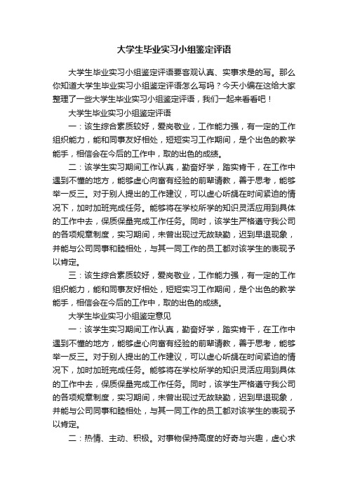 大学生毕业实习小组鉴定评语