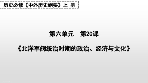 《北洋军阀统治时期的政治、经济与文化》统编版高中历史优秀课件2