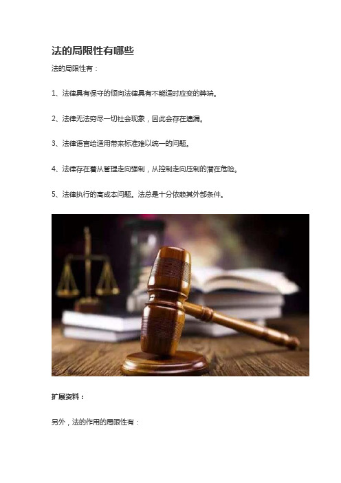 法的局限性