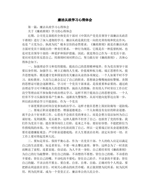 廉洁从政学习心得体会