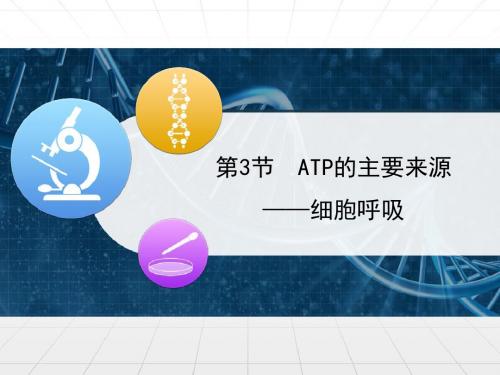 人教版高中生物必修一5.3《ATP的主要来源——细胞呼吸》优质课件