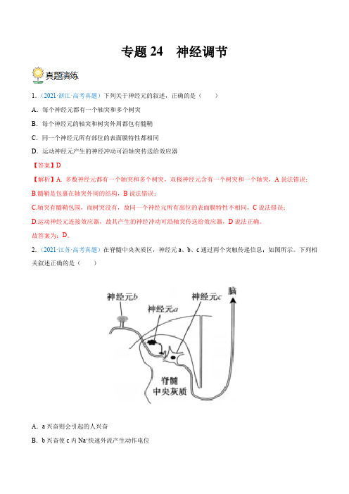 专题24 神经调节(解析版)