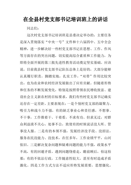 在全县村党支部书记培训班上的讲话
